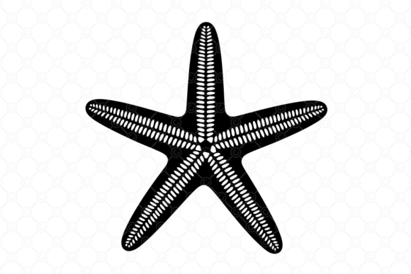 Starfish SVG, Starfish Silhouette, 032