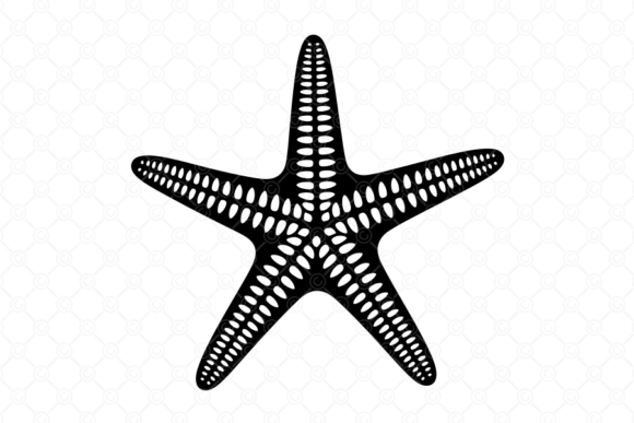 Starfish SVG, Starfish Silhouette, 034