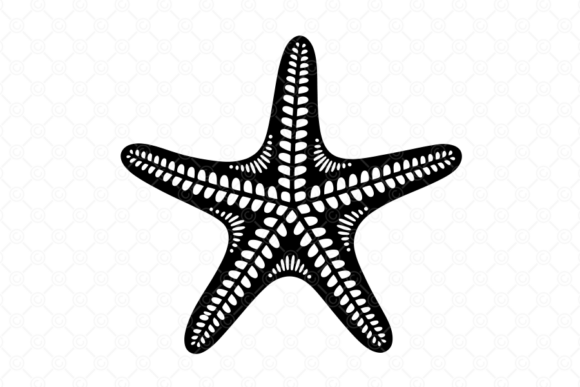 Starfish SVG, Starfish Silhouette, 037